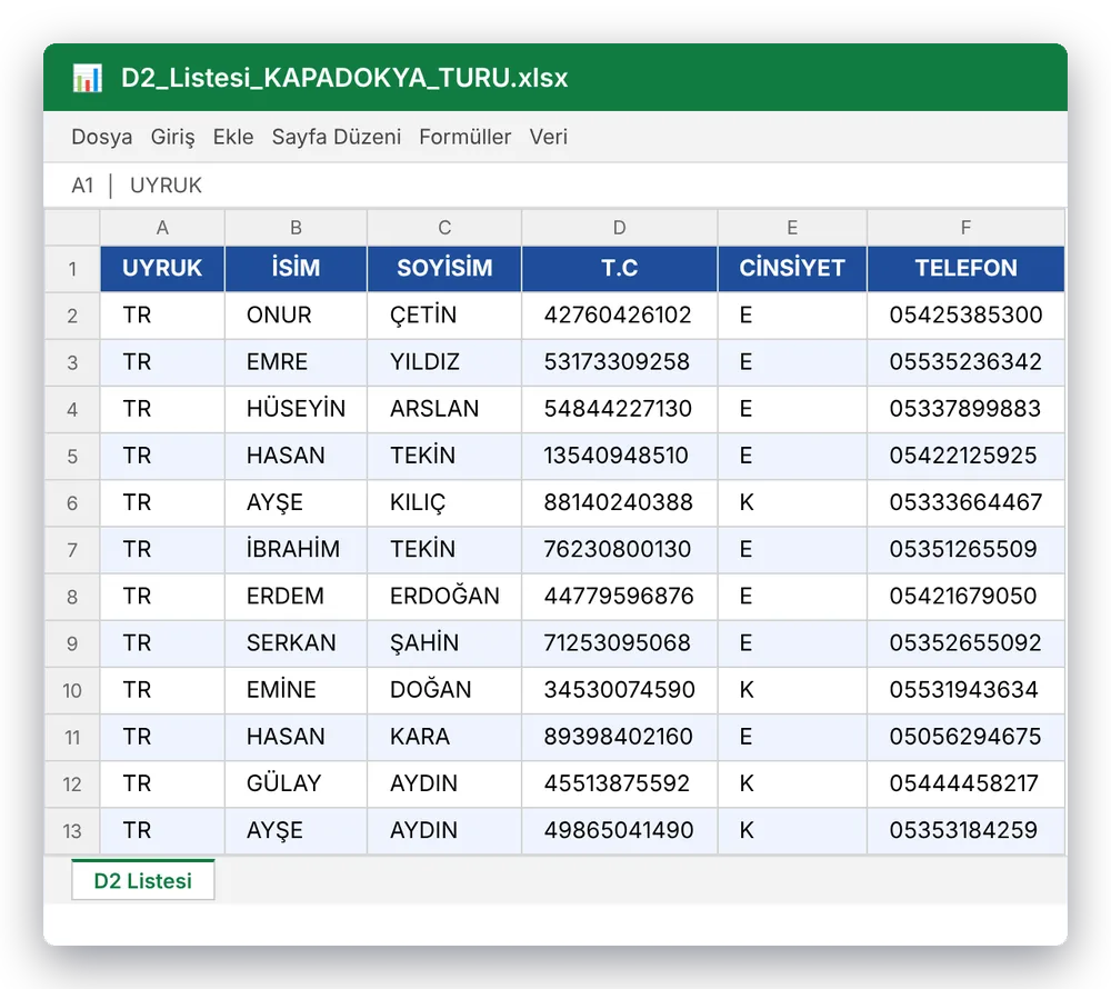 D2 yolcu listesi Excel çıktısı