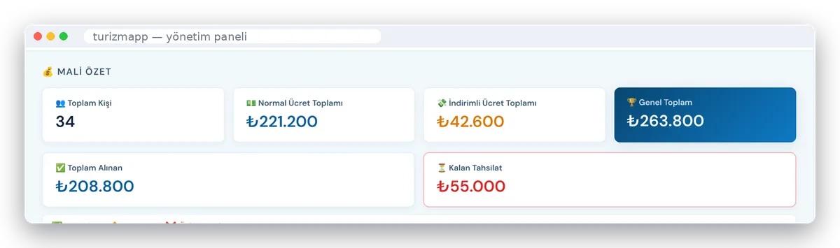 Mali özet ekranı